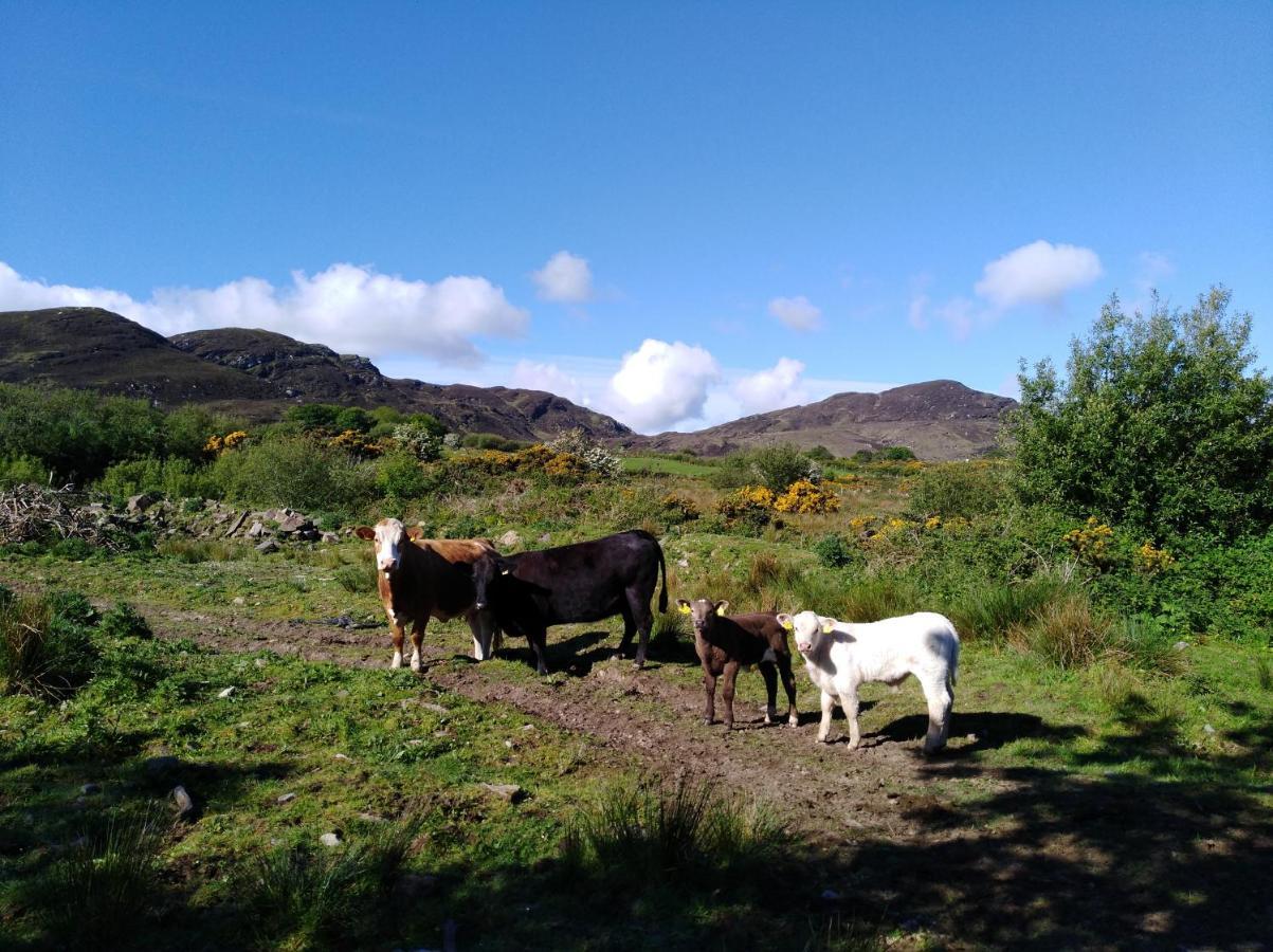 Madra Rua Organic Accommodation Ballyliffin Esterno foto